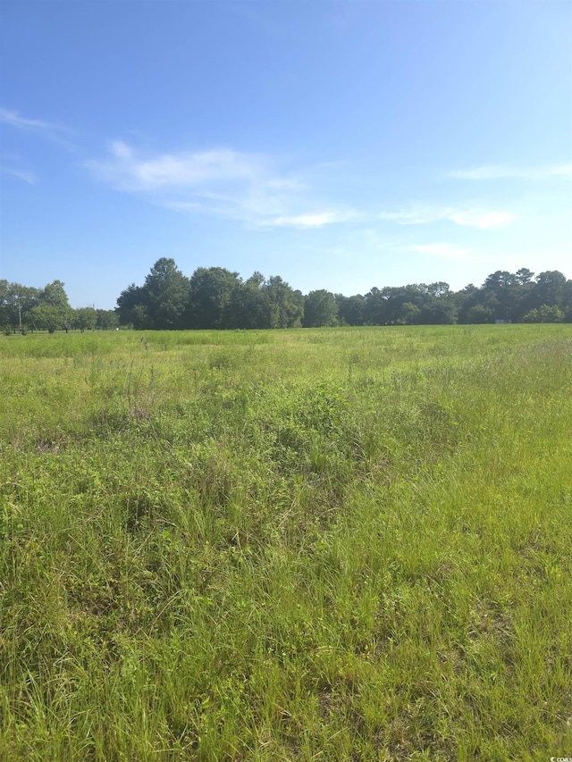 2095 Ray Rd, Hemingway, SC 29554 - photo 2