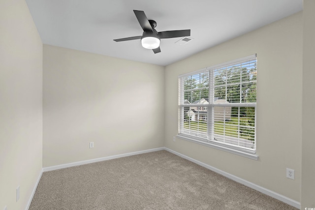 413 Cotton Grass Dr, Loris, SC 29569 - photo 24