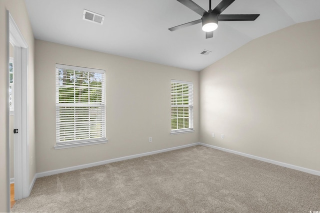 413 Cotton Grass Dr, Loris, SC 29569 - photo 17