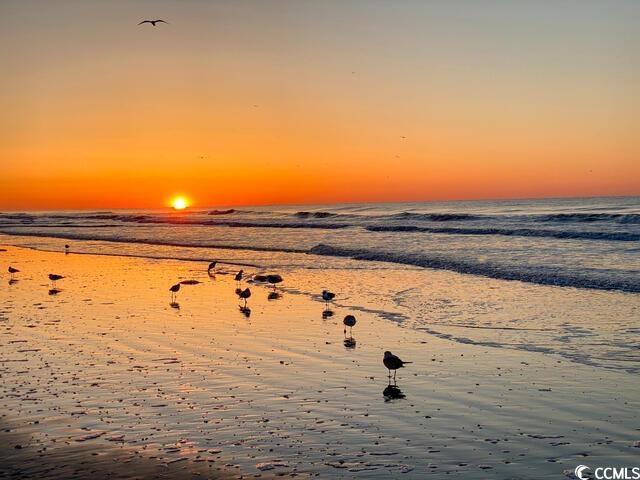 1011 S Ocean Blvd S Unit 204, North Myrtle Beach, SC 29582 - photo 25