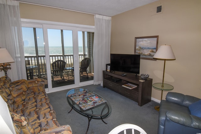 1011 S Ocean Blvd S Unit 204, North Myrtle Beach, SC 29582 - photo 17