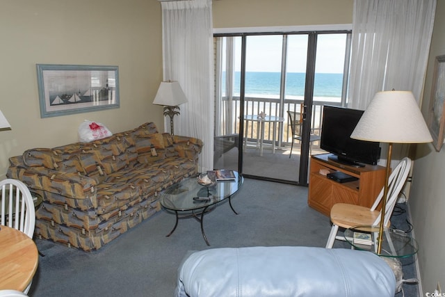1011 S Ocean Blvd S Unit 204, North Myrtle Beach, SC 29582 - photo 15