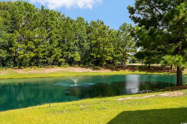 1401 Ferney Dr, Conway, SC 29526 - photo 24
