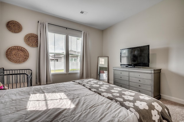 239 Yellow Rail St, Murrells Inlet, SC 29576 - photo 19