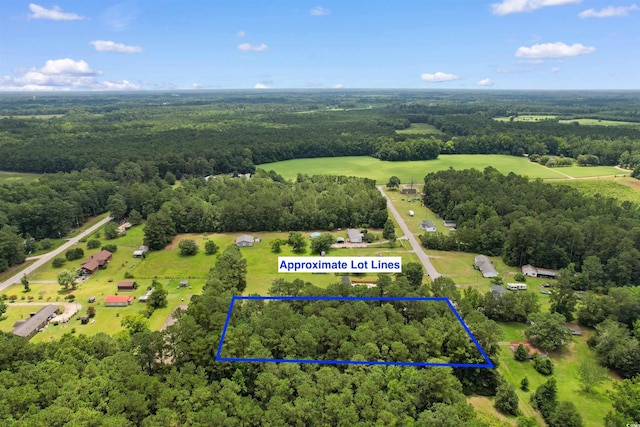 LOT Alma Ct, Marion, SC 29571 - photo 10