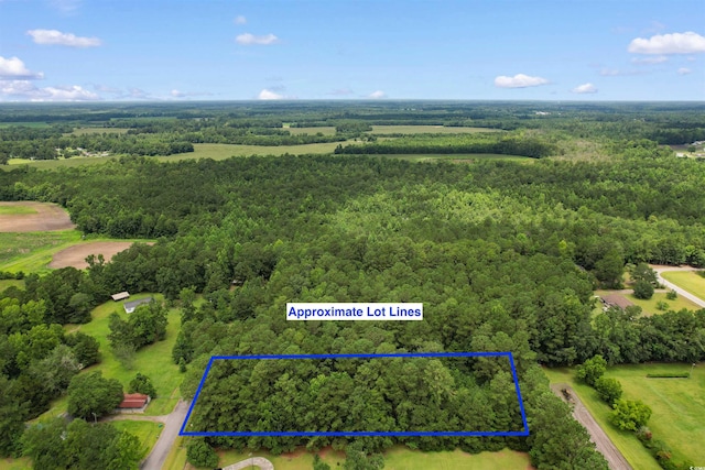 LOT Alma Ct, Marion, SC 29571 - photo 3