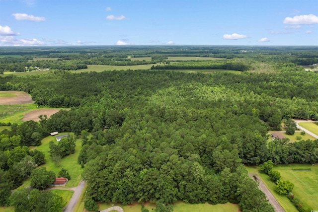 LOT Alma Ct, Marion, SC 29571 - photo 2