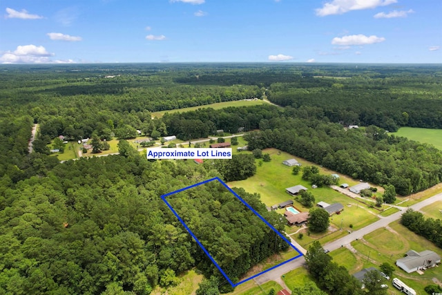 LOT Alma Ct, Marion, SC 29571 - photo 12