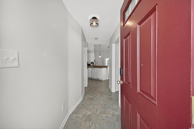 170 Country Manor Dr Unit B, Conway, SC 29526 - photo 2