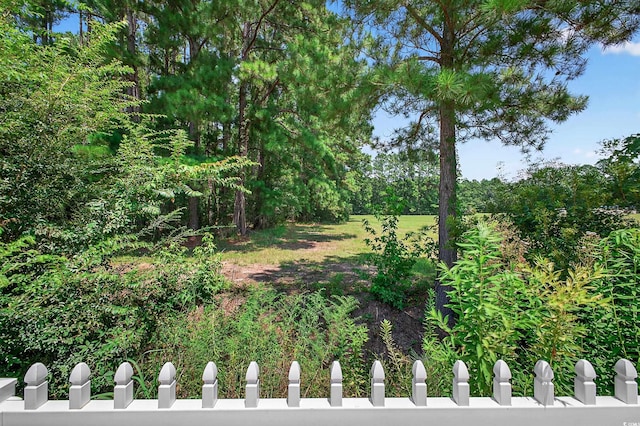 170 Country Manor Dr Unit B, Conway, SC 29526 - photo 30