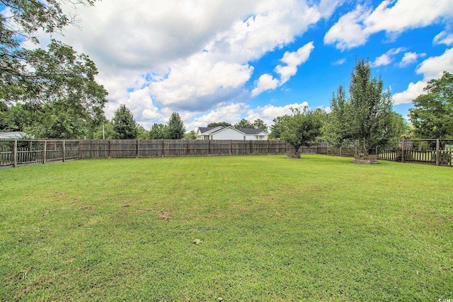 20338 Choppee Rd, Hemingway, SC 29554 - photo 30