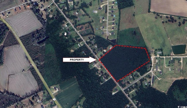 TBD Old Railroad Rd, Conway, SC 29527 - photo 1