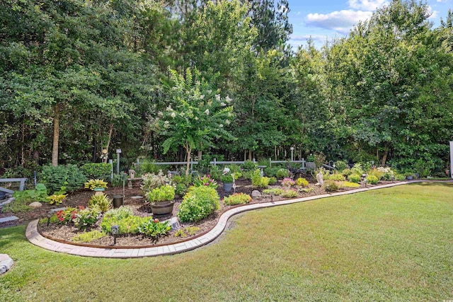 842 Payne Ct, Conway, SC 29526 - photo 39
