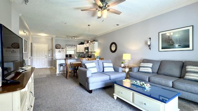 304 Kiskadee Loop Unit B, Conway, SC 29526 - photo 4