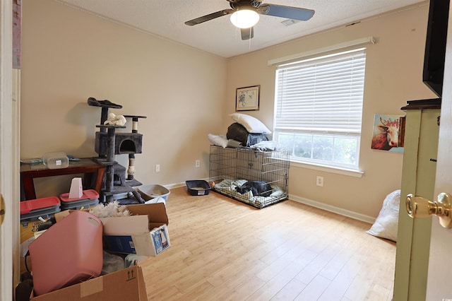 156 Osprey Cove Loop, Myrtle Beach, SC 29588 - photo 13