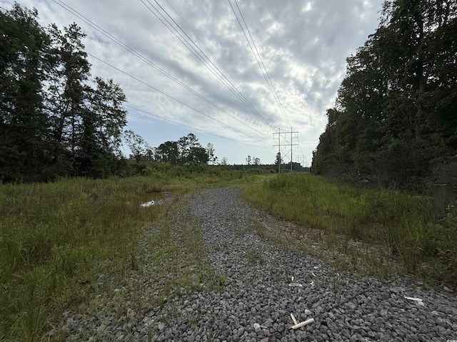 TBD Dukes Rd, Conway, SC 29526 - photo 1