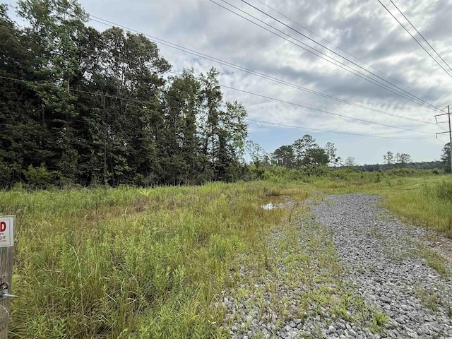 TBD Dukes Rd, Conway, SC 29526 - photo 2
