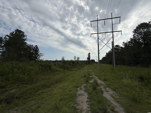 TBD Dukes Rd, Conway, SC 29526 - photo 4