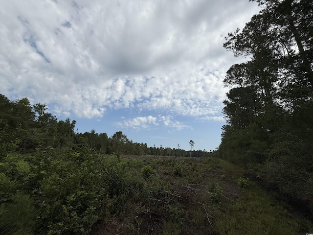 TBD Dukes Rd, Conway, SC 29526 - photo 5