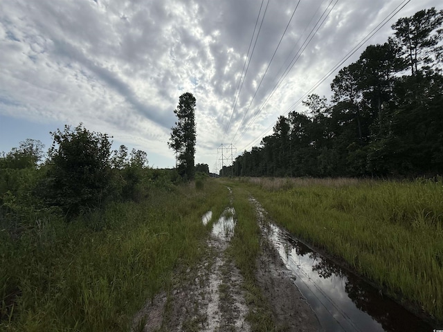 TBD Dukes Rd, Conway, SC 29526 - photo 6