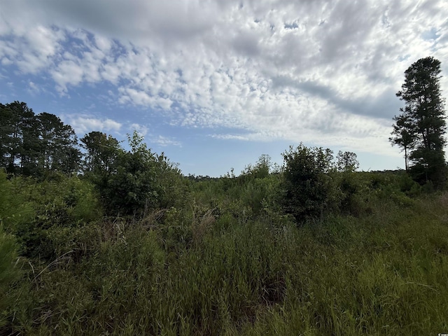TBD Dukes Rd, Conway, SC 29526 - photo 7