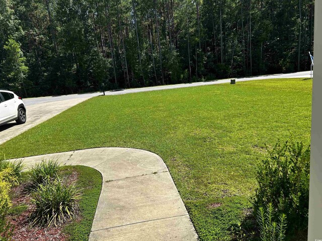 639 Beckell St, Conway, SC 29527 - photo 39