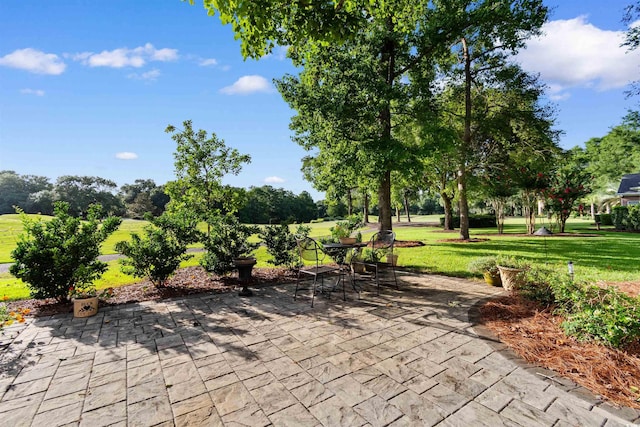 995 Oatland Lake Rd, Pawleys Island, SC 29585 - photo 31