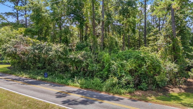 TBD Parkview Dr, Pawleys Island, SC 29585 - photo 2
