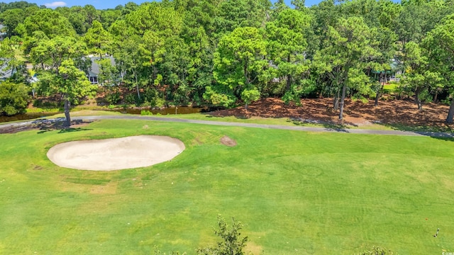TBD Parkview Dr, Pawleys Island, SC 29585 - photo 16