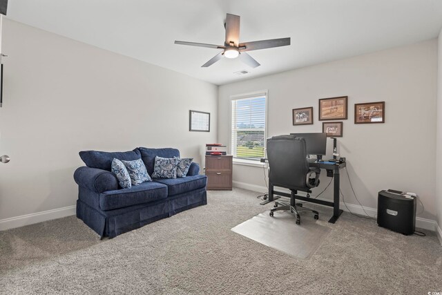 1114 Wigeon Dr, Conway, SC 29526 - photo 27