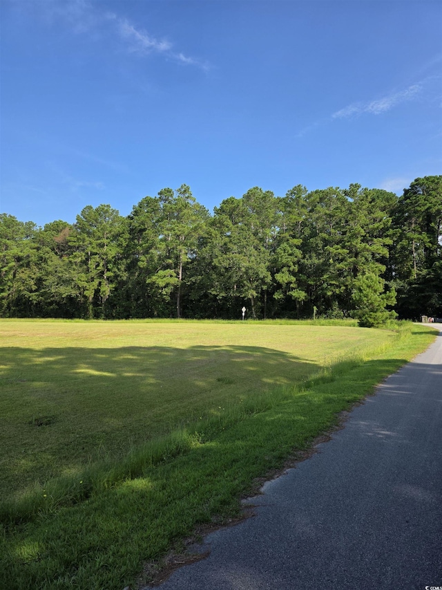 TBD Keysfield Cir, Conway, SC 29527 - photo 4