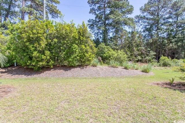 817 Old Castle Loop, Myrtle Beach, SC 29579 - photo 34