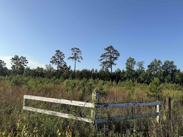 5ACRESLOT2 Old Pee Dee Rd, Hemingway, SC 29554 - photo 1