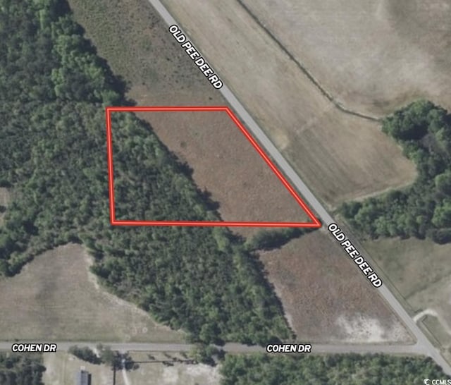 5ACRESLOT2 Old Pee Dee Rd, Hemingway, SC 29554 - photo 9