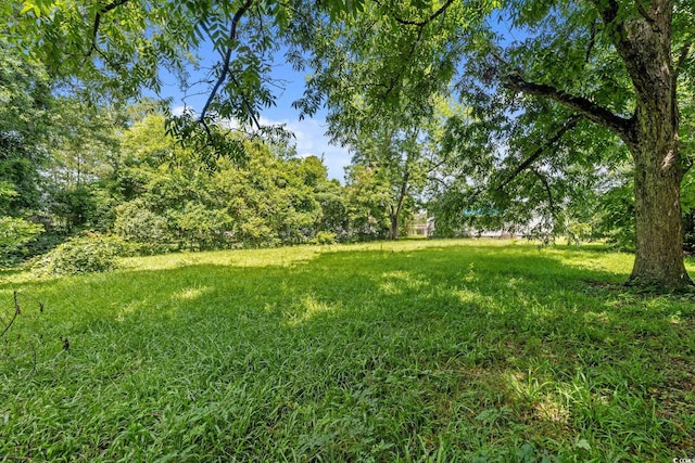 120 Academy St, Mullins, SC 29574 - photo 9