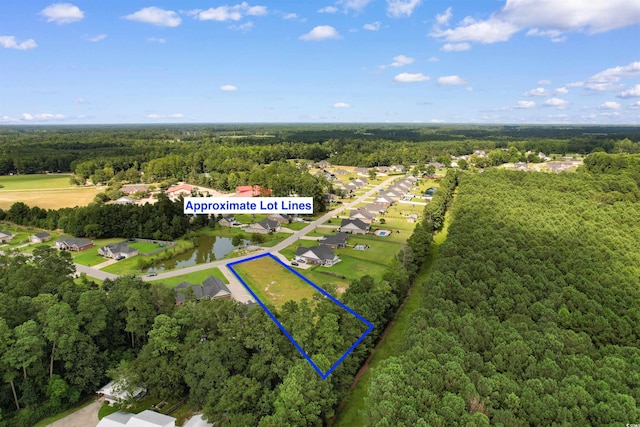TBD Farm Trac Dr, Galivants Ferry, SC 29544 - photo 4