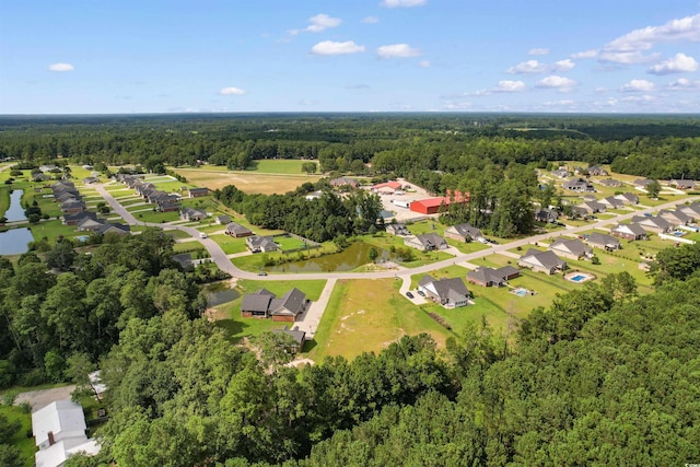 TBD Farm Trac Dr, Galivants Ferry, SC 29544 - photo 6