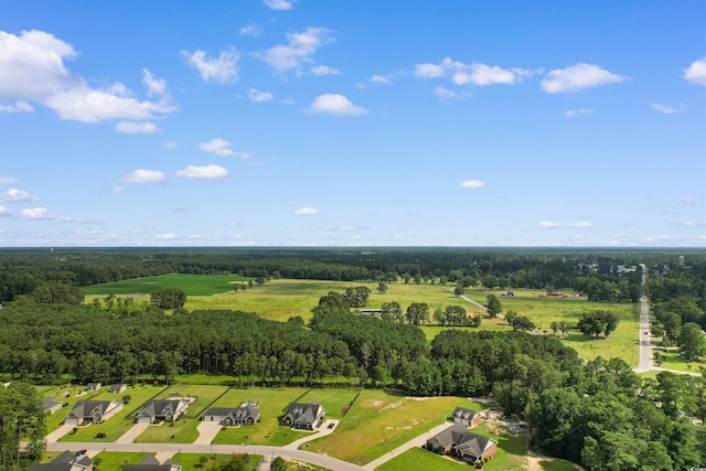 TBD Farm Trac Dr, Galivants Ferry, SC 29544 - photo 17