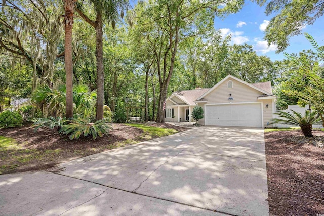 43 Reef Run Rd, Pawleys Island, SC 29585 - photo 3