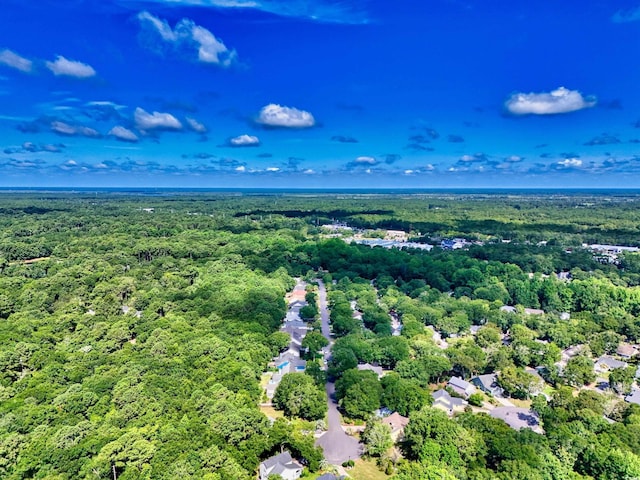 43 Reef Run Rd, Pawleys Island, SC 29585 - photo 34