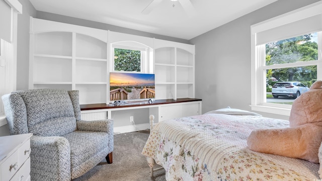 3802 Pine Lake Dr, Myrtle Beach, SC 29577 - photo 28
