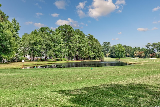 119 Herrmann Ridge Ct, Myrtle Beach, SC 29579 - photo 36