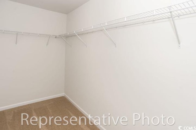990 Cherrystone Loop, Conway, SC 29526 - photo 19