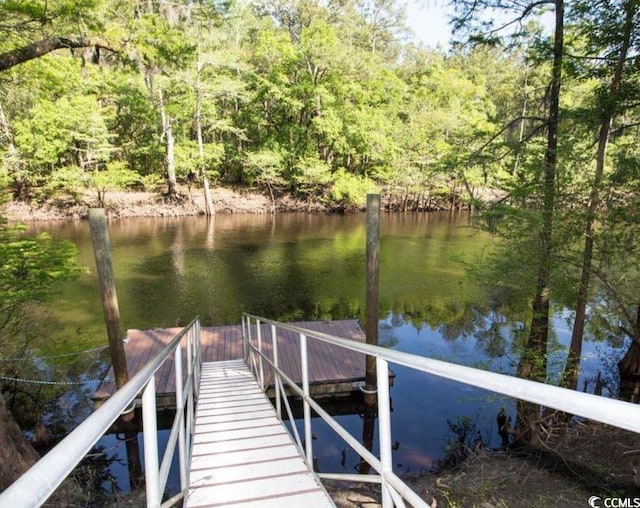 990 Cherrystone Loop, Conway, SC 29526 - photo 35