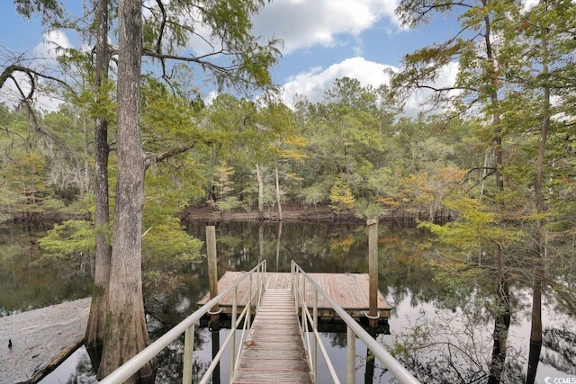 990 Cherrystone Loop, Conway, SC 29526 - photo 36