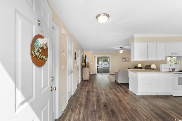 4604 Lomax Ct Unit 7-D, Murrells Inlet, SC 29576 - photo 4