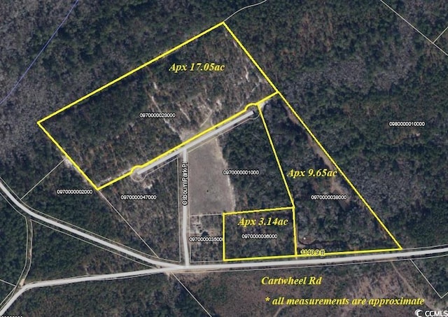 TBD Cartwheel Rd, Mullins, SC 29574 - photo 1