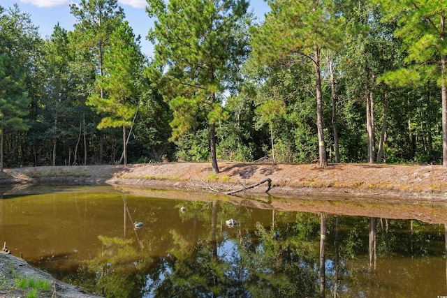 TBD Cartwheel Rd, Mullins, SC 29574 - photo 3