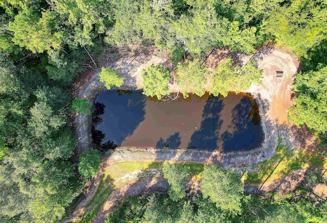 TBD Cartwheel Rd, Mullins, SC 29574 - photo 4