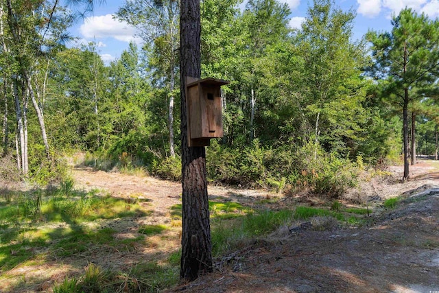 TBD Cartwheel Rd, Mullins, SC 29574 - photo 5